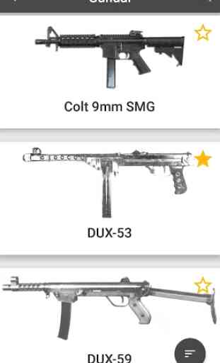 Gun wiki 4