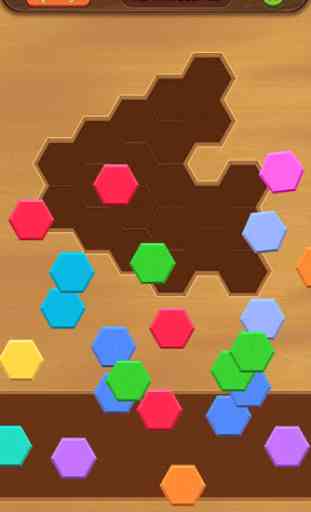 Hexa Box - Puzzle Block 2