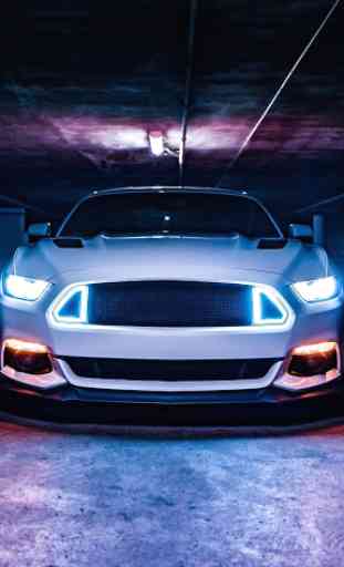 Mustang Wallpapers  - Free Backgrounds HD 4