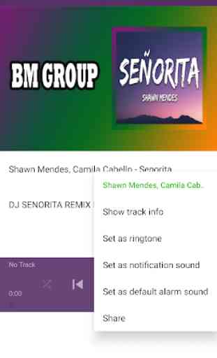 Song Senorita Mp3 Offline 4