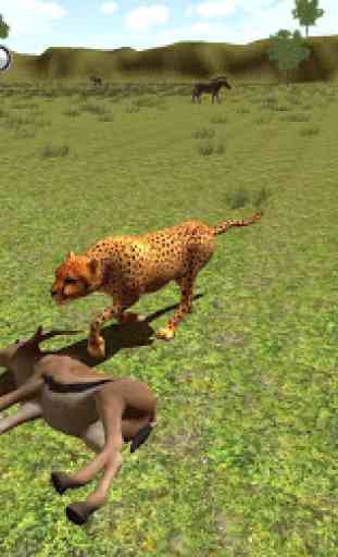 wild cheetah 1