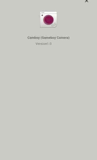 Gameboy Camera 4