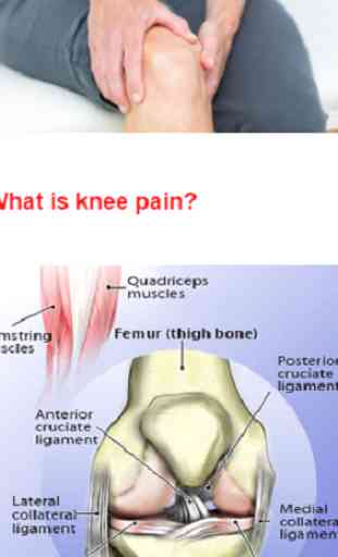 Knee Pain Protocols 2