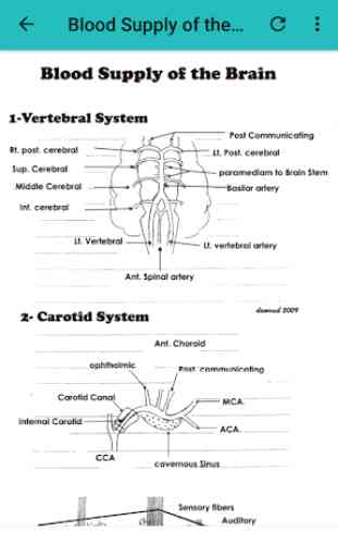 Neurology Basics 2