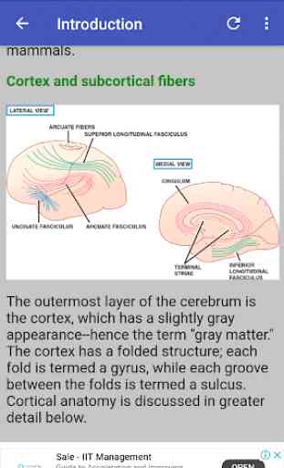 Neurology Guide 1