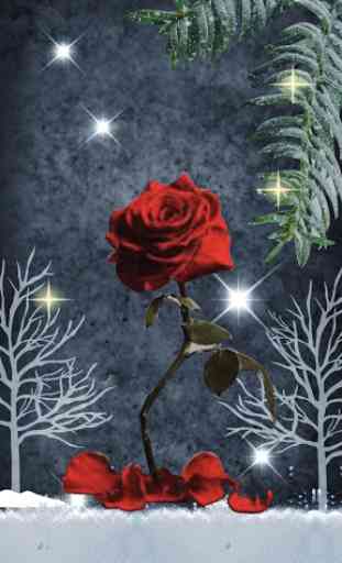 Red Rose Heart APUS Live Wallpaper 4