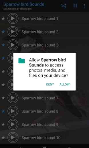 Sparrow bird sounds ~ Sboard.pro 2