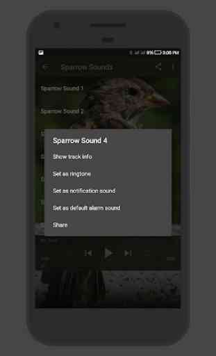 Sparrow Sounds 3