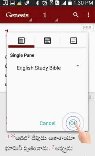 Study Bibles (Multiple Languages) 2