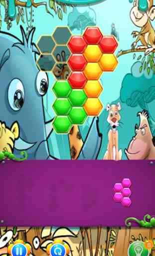Animal Hexa Puzzle: Hexagonal Match Blocks 3