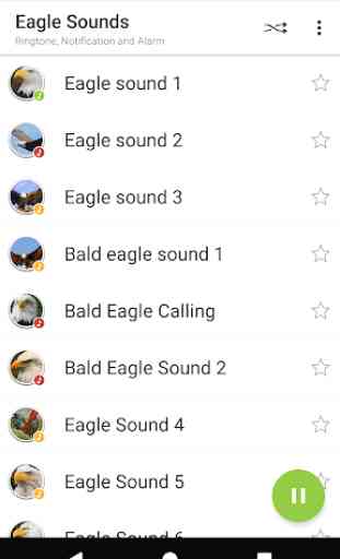Appp.io - Eagle Sounds 1
