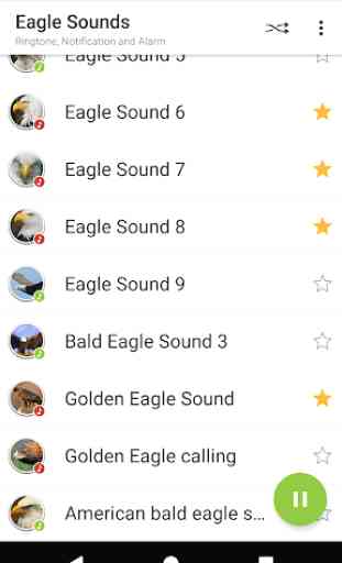 Appp.io - Eagle Sounds 2