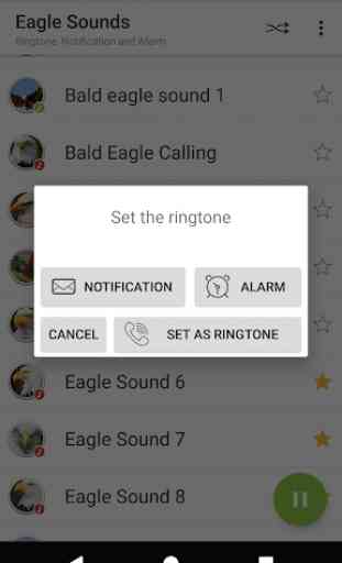 Appp.io - Eagle Sounds 3
