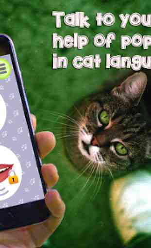 Cat Language Translator Simulator - Talk to Pet 2