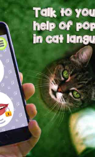 Cat Language Translator Simulator - Talk to Pet 4