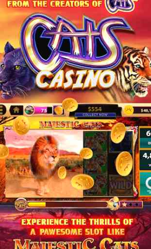 CATS Casino – Real Hit Slot Machine! 1