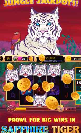 CATS Casino – Real Hit Slot Machine! 3