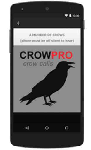 Crow Calls and Crow Sounds 2