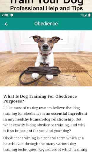Dog Training, Whistle, Clicker and Sounds 4