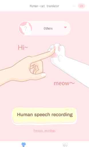 Human-Cat Translator 1