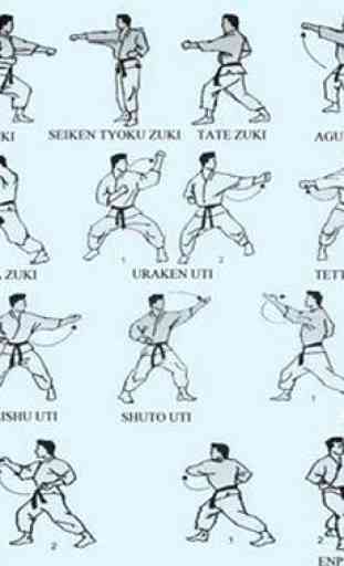 Karate Martial Arts Technique 1