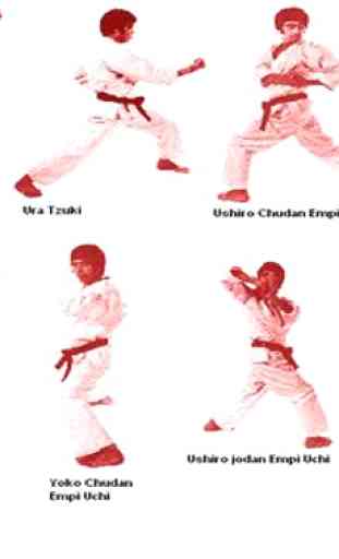 Karate Martial Arts Technique 2