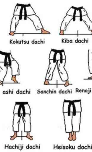 Karate Martial Arts Technique 3