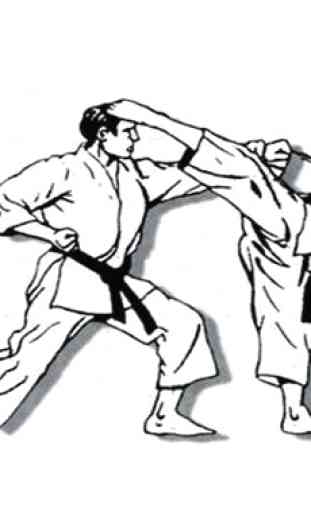 Karate Martial Arts Technique 4