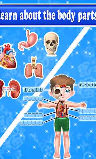 Learning Human Body Parts For Kids 1