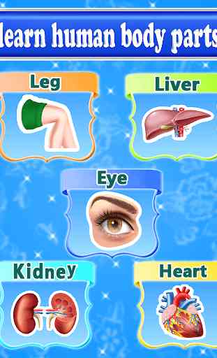 Learning Human Body Parts For Kids 2