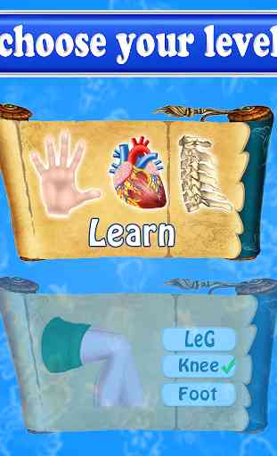 Learning Human Body Parts For Kids 4