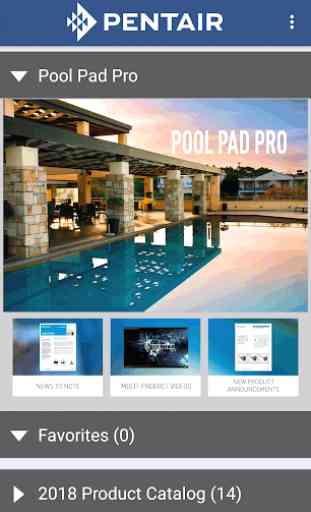 Pool Pad Pro 1