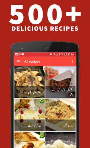 Recipes in Urdu (Offline) 1