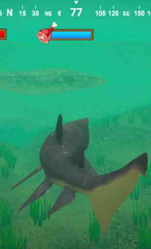 Talking Helicoprion 2