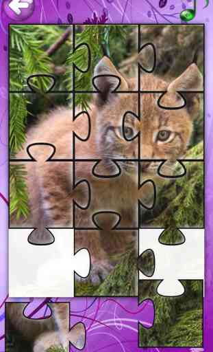 Red Panda Puzzles Jigsaws Games with Wild Animals in the Zoo 4