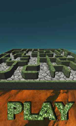 Labyrinth 3D Maze 1