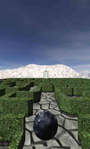 Labyrinth 3D Maze 3