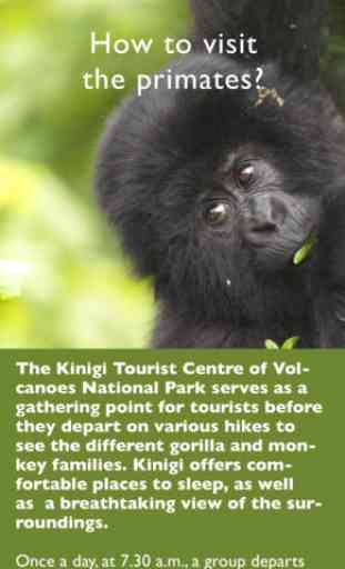Rwanda Primates 4
