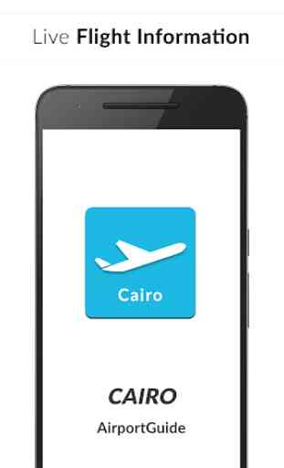 Cairo Airport Guide - Flight information CAI 1