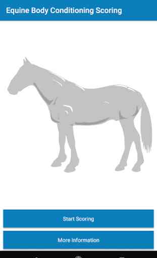 Equine Body Conditioning Scoring 1