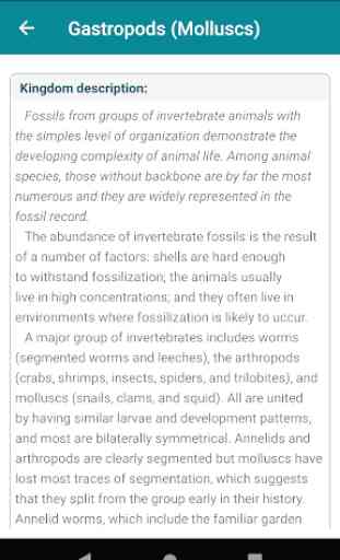 Fossils - Handbook of Fossils 4