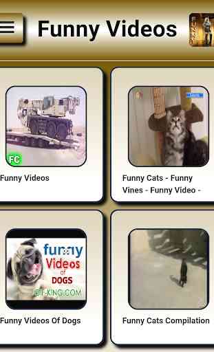 Funny videos 1