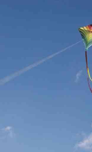Kite Flying 2020 (Kite Game) 4