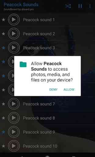 Peacock sounds ~ Sboard.pro 2