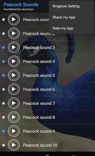 Peacock sounds ~ Sboard.pro 4
