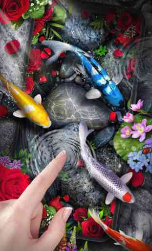 Rose Koi Fish Live Wallpaper 2