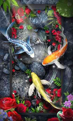 Rose Koi Fish Live Wallpaper 4