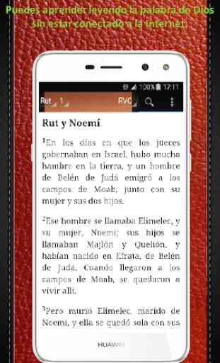 Bible (NVI) New International Version Spanish 3