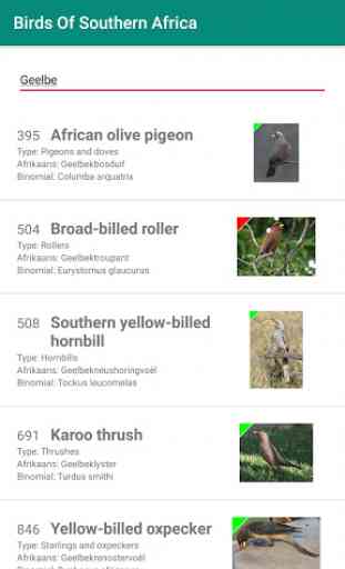 Birds Of Southern Africa 4