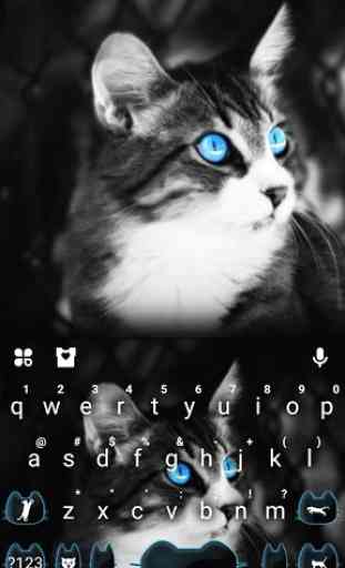 Blue Eye Kitty Cat Keyboard Theme 1